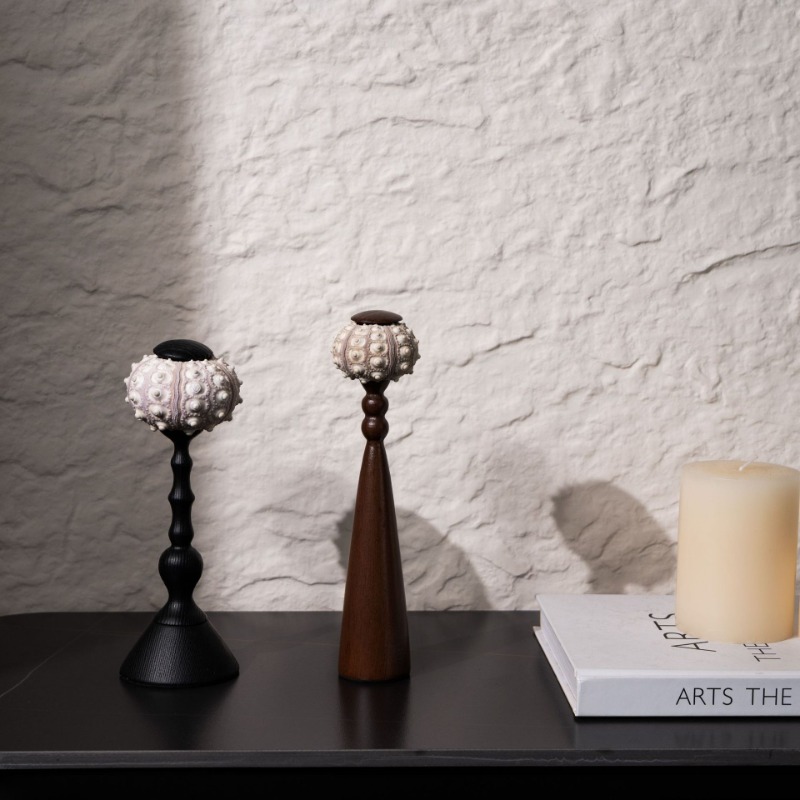 Yaratıcı Kabuklu Heykel El Işi - Interior Design Exhibition incelemesi ve fiyatı