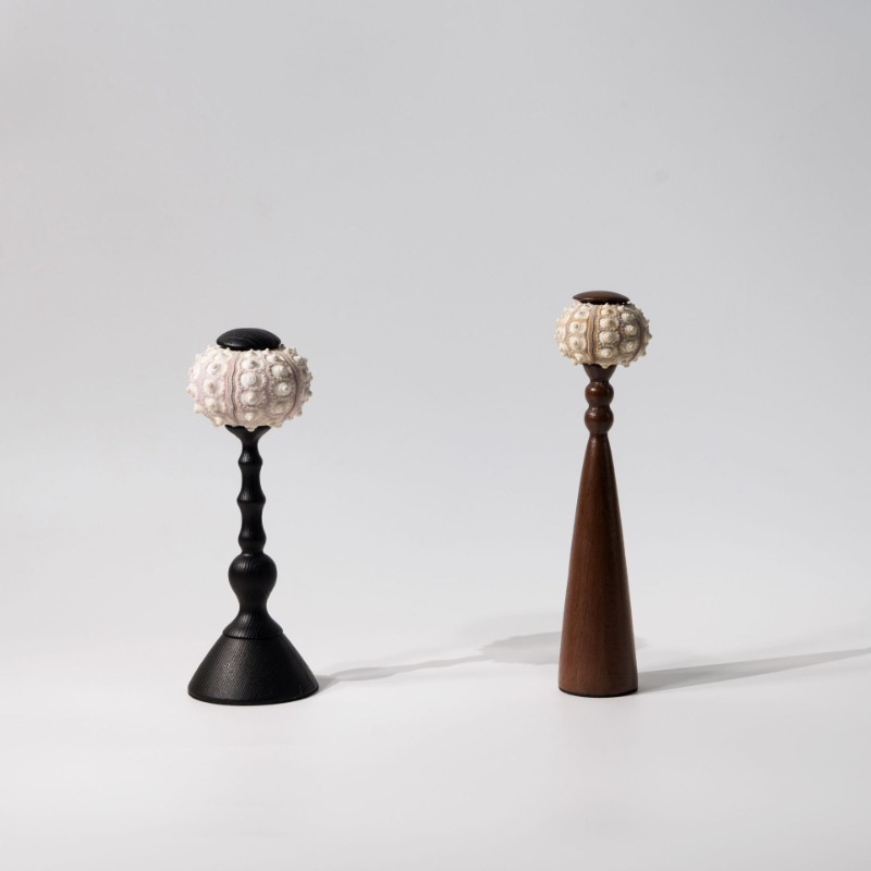 Yaratıcı Kabuklu Heykel El Işi - Interior Design Exhibition incelemesi ve fiyatı