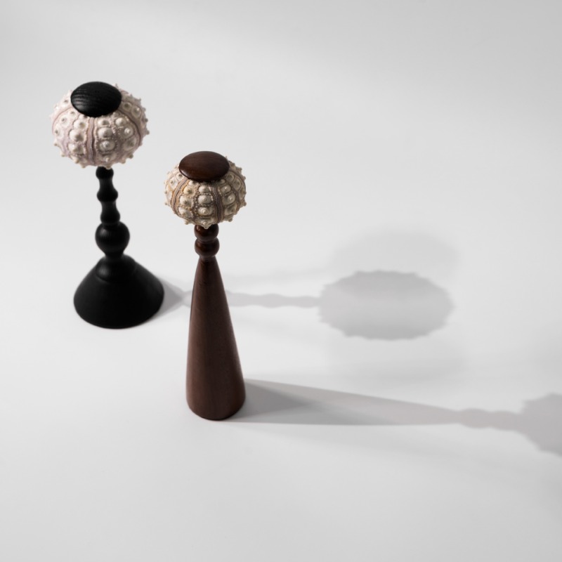 Yaratıcı Kabuklu Heykel El Işi - Interior Design Exhibition incelemesi ve fiyatı