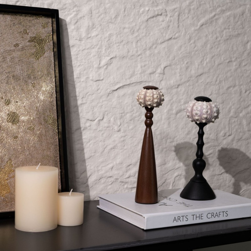 Yaratıcı Kabuklu Heykel El Işi - Interior Design Exhibition incelemesi ve fiyatı