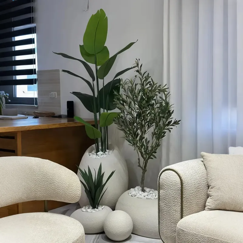 Çeşitli Saksı Bitkilerinden Çe - Interior Design Your Home incelemesi ve fiyatı