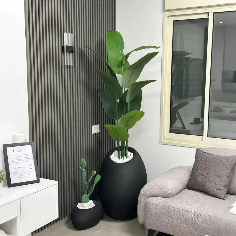 Çeşitli Saksı Bitkilerinden Çe - Interior Design Your Home incelemesi ve fiyatı