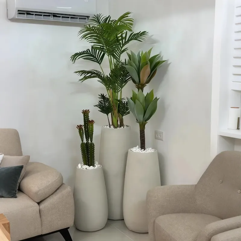 Çeşitli Saksı Bitkilerinden Çe - Interior Design Your Home incelemesi ve fiyatı
